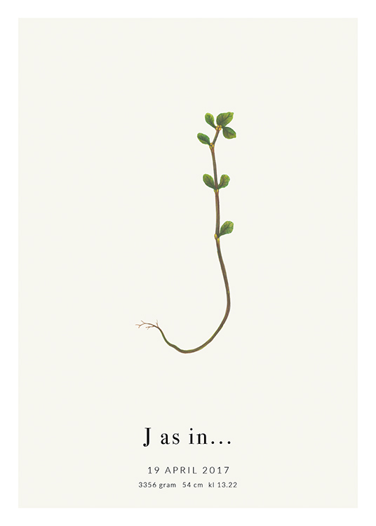  – Ilustración de una rama con hojas con la forma de la letra J y texto en la parte inferior del diseño.