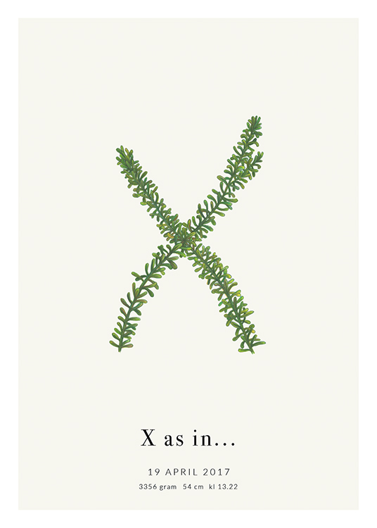  – Ilustración con dos ramitas en forma de X y texto en la parte inferior del diseño.