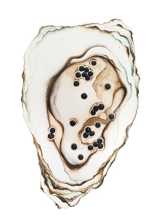  – Pintura en acuarela de una ostra beis con centro amarronado y perlas negras, fondo blanco