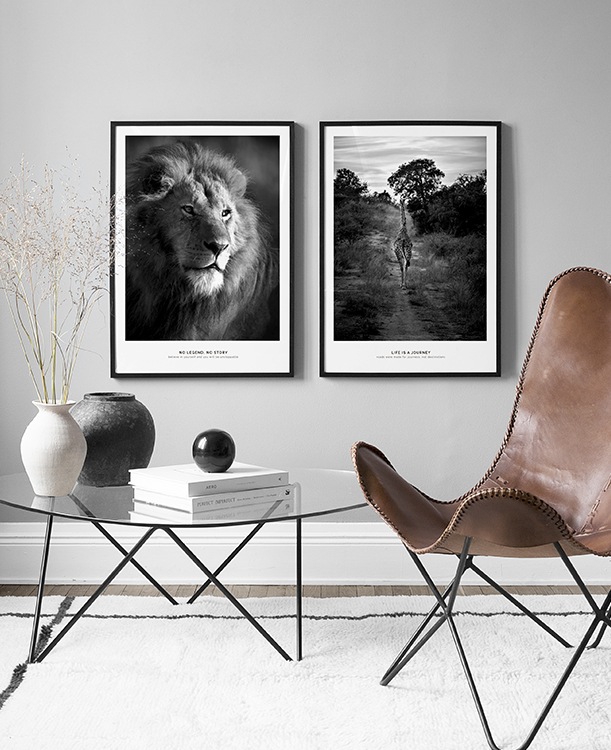 Pósters con animales salvajes en blanco y negro