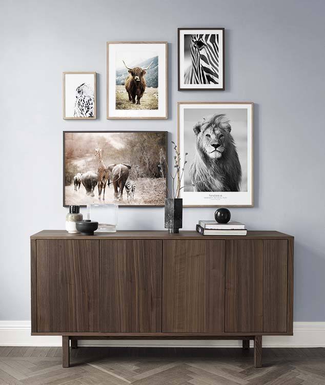 Pared de cuadros con tema de animales