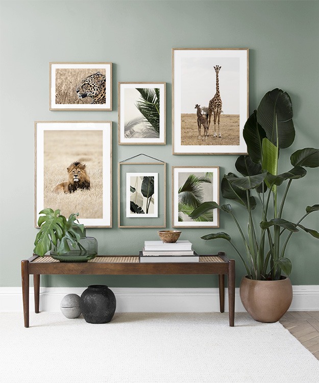 Salón verde con plantas