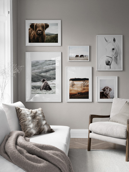 Pósters de animales de Desenio